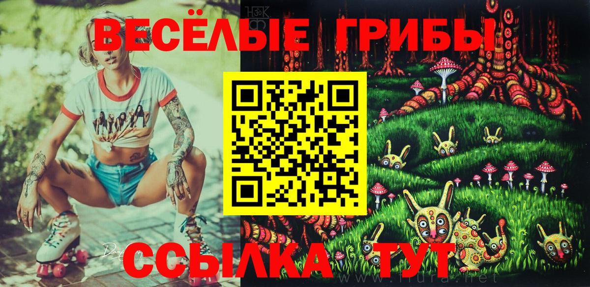 Галлюциногенные грибы мицелий  Вход с VPN  Клин 